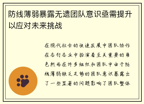 防线薄弱暴露无遗团队意识亟需提升以应对未来挑战