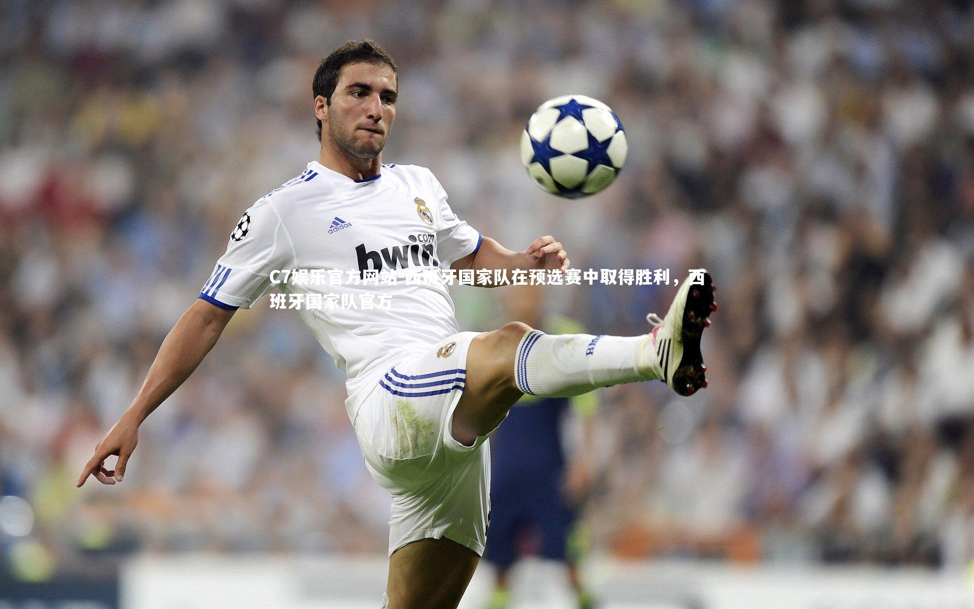 西班牙国家队在预选赛中取得胜利,西班牙国家队官方